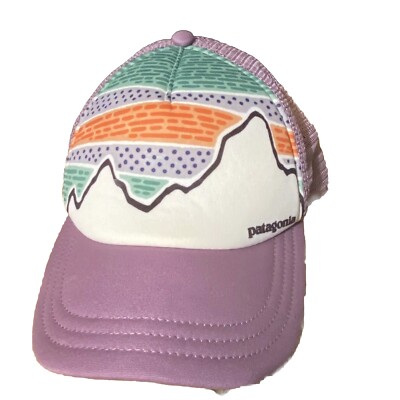 Patagonia Mountain Lines Trucker Hat Foam Mesh SnapBack