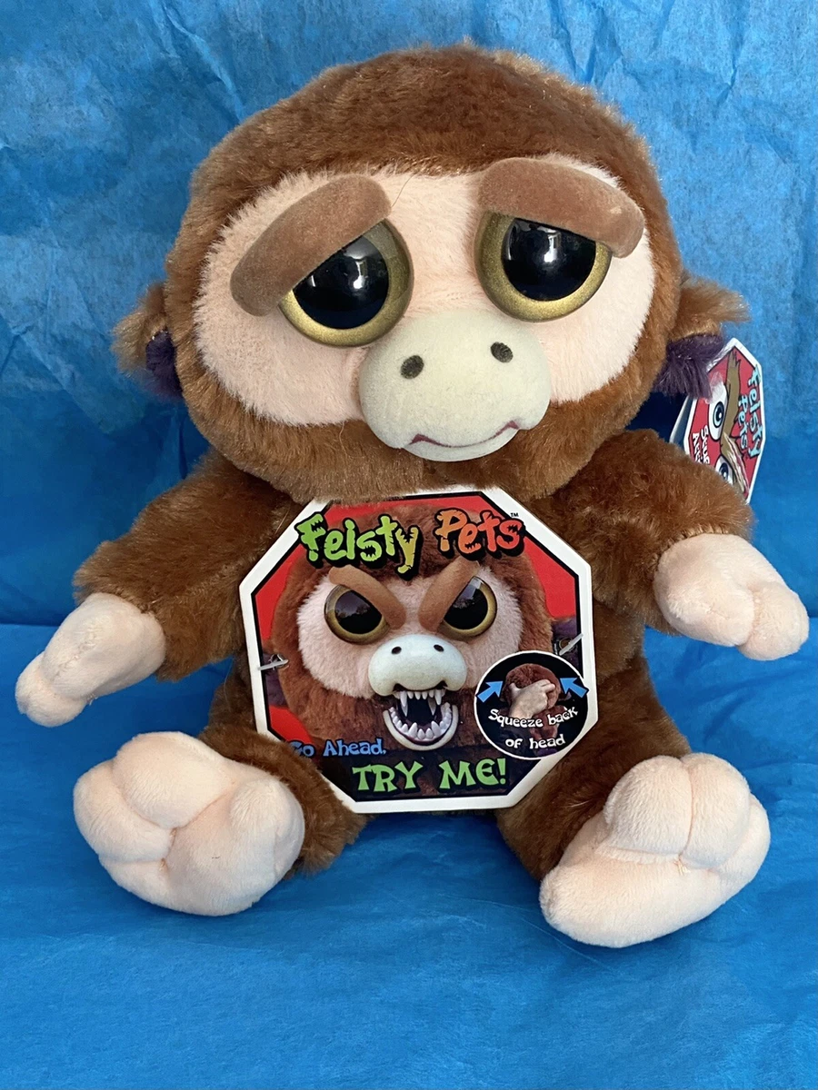 Feisty pet sales monkey