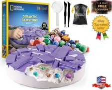 Gigantic Gemstone Dig Kit Excavate 100 Real Gems New Toy