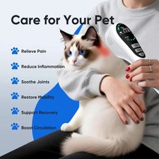 Cold Laser Therapy for Pets Dog Cat Red Light Physiotherapy for Pain Relief