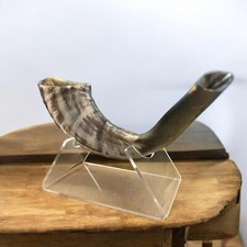 Shofar Ram Horn Kosher 14"-16" Judaica   Stand Made In Israel