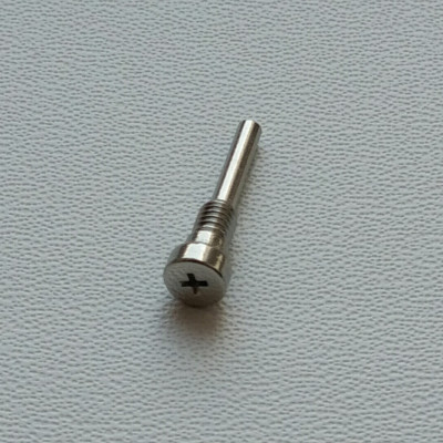 Casio Watch Screw GS-1000 GS-1001 GS-1010 GS-1050 GS-1100 GS-1150 For Band  | eBay