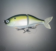 Custom Shad Glide Bait Custom Paint Slow Sink Lure Bass 6 In  Jointed Fishing