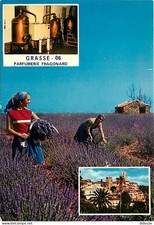 Postcard - 06 - Grasse - Multivue - Fragonard Perfumery - Distiller -