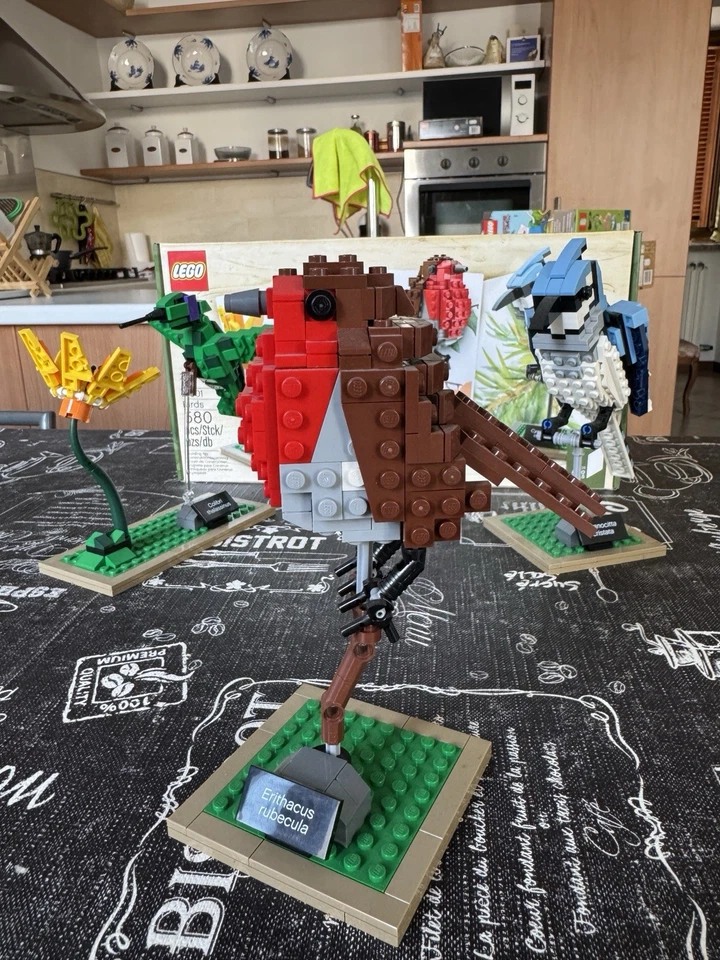 LEGO Ideas 21301 Birds, foto 4 di 5