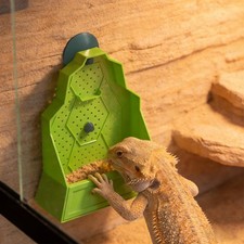 Reptile Feeding Bowl Feeder for Reptile Reptile Corner Feeder with Suction Cups