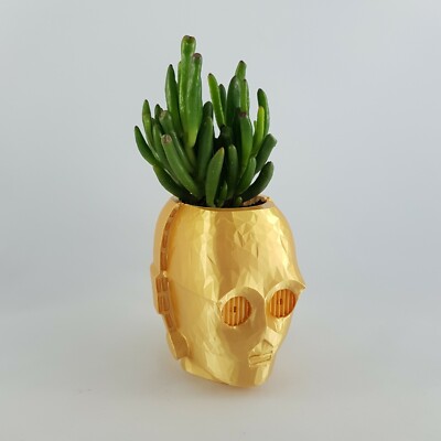 Star Wars C-3PO Planter Succulent Plant Pot Gift Decor Air Plant