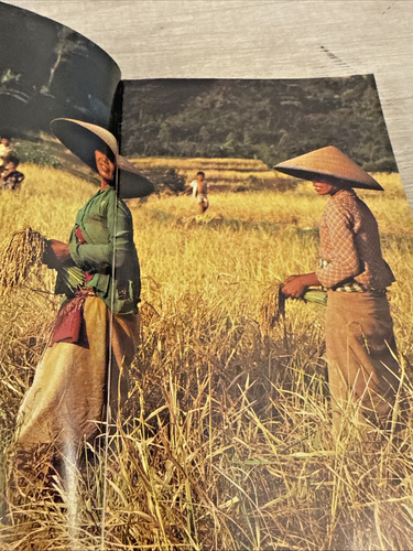 Java : Indonesia by Periplus Staff (2001, Trade Paperback) - Picture 5 of 8