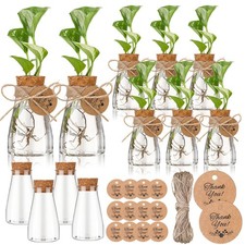 12 Pack 3.35'' Plastic Plant Propagation Stations with Hole Lid Planter Vase ...