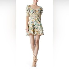 Alice Olivia Flower Print Mini Dress Size 2