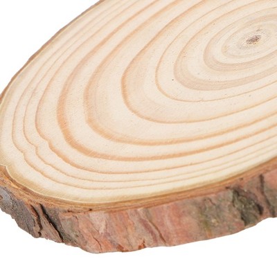 Natural Wood Slices Round Pine Logs Crafts Painting Wedding Festivals Decora