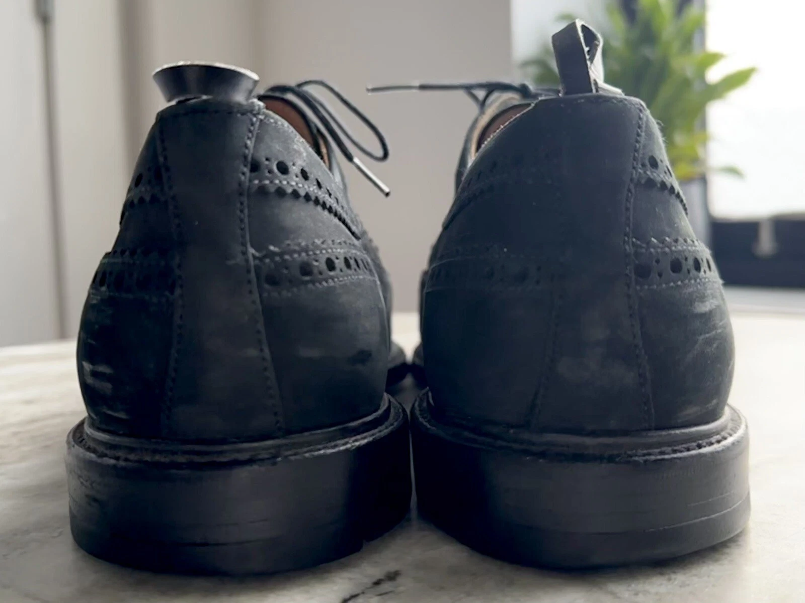 THOM BROWNE Brooks Brothers ali lunghe nabuk nero pile 10 5 Thom sopracciglia