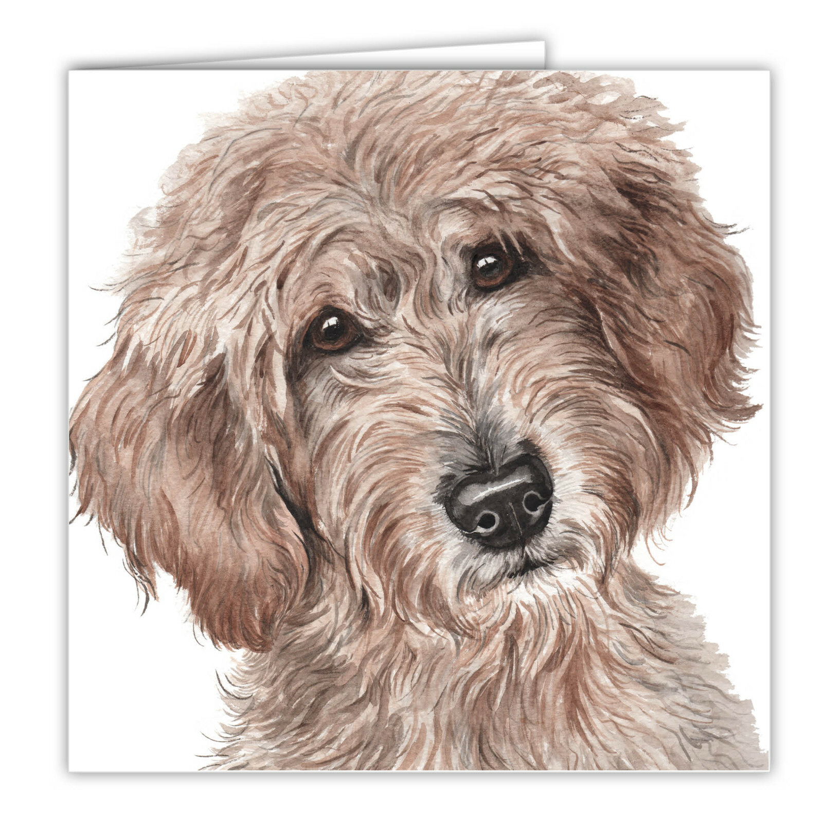 Labradoodle greetings card dog blank card dogs LABRADOODLES Waggydogz art cards