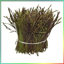 Asparagi Selvatici Freschi Alto Jonio Cosentino – Raccolta Febb/ Apr