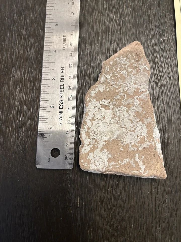 Atocha Shipwreck Pottery with COA - Image 4 of 4