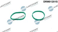 Dr.Motor Automotive Dichtungssatz AnsaugkrüMmer FüR Ford Transit Custom V362