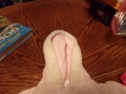 +*INFANT GIRL BABYWORKS PANT SET  0-3 MONTHS A 45 — photo 5