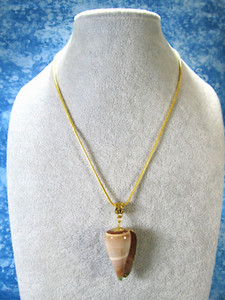 Authentic Gold Trimmed Natural Shell Pendant w/ Gold Plated Snake Chain 18" / C