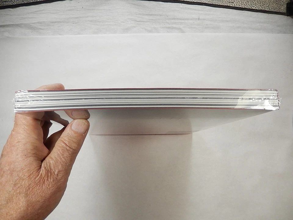 Broken Spectre by Richard Mosse, 2022, Amazon Rainforest Photo Documentary Foto 3 de 4