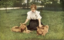 Lion Cubs ~ New York Zoological Park New York City ~ c1910