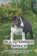 Bull Terrier Basics: What To Expect When Caring For A Miniature Bull Terrier: Ho