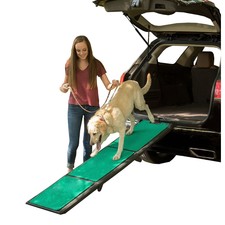 good2go dog ramp