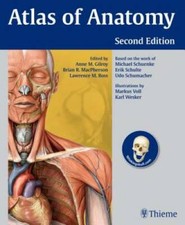 Atlas of Anatomy - Paperback By Gilroy, Anne ...