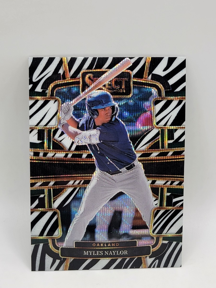 2024 Select Baseball Myles Naylor Zebra #41 | eBay