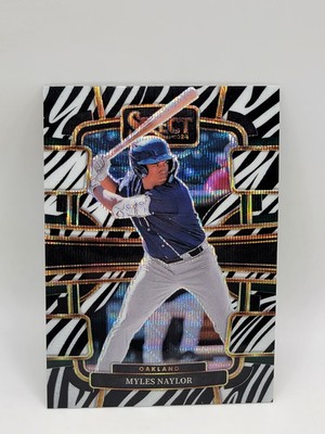 2024 Select Baseball Myles Naylor Zebra #41 | eBay
