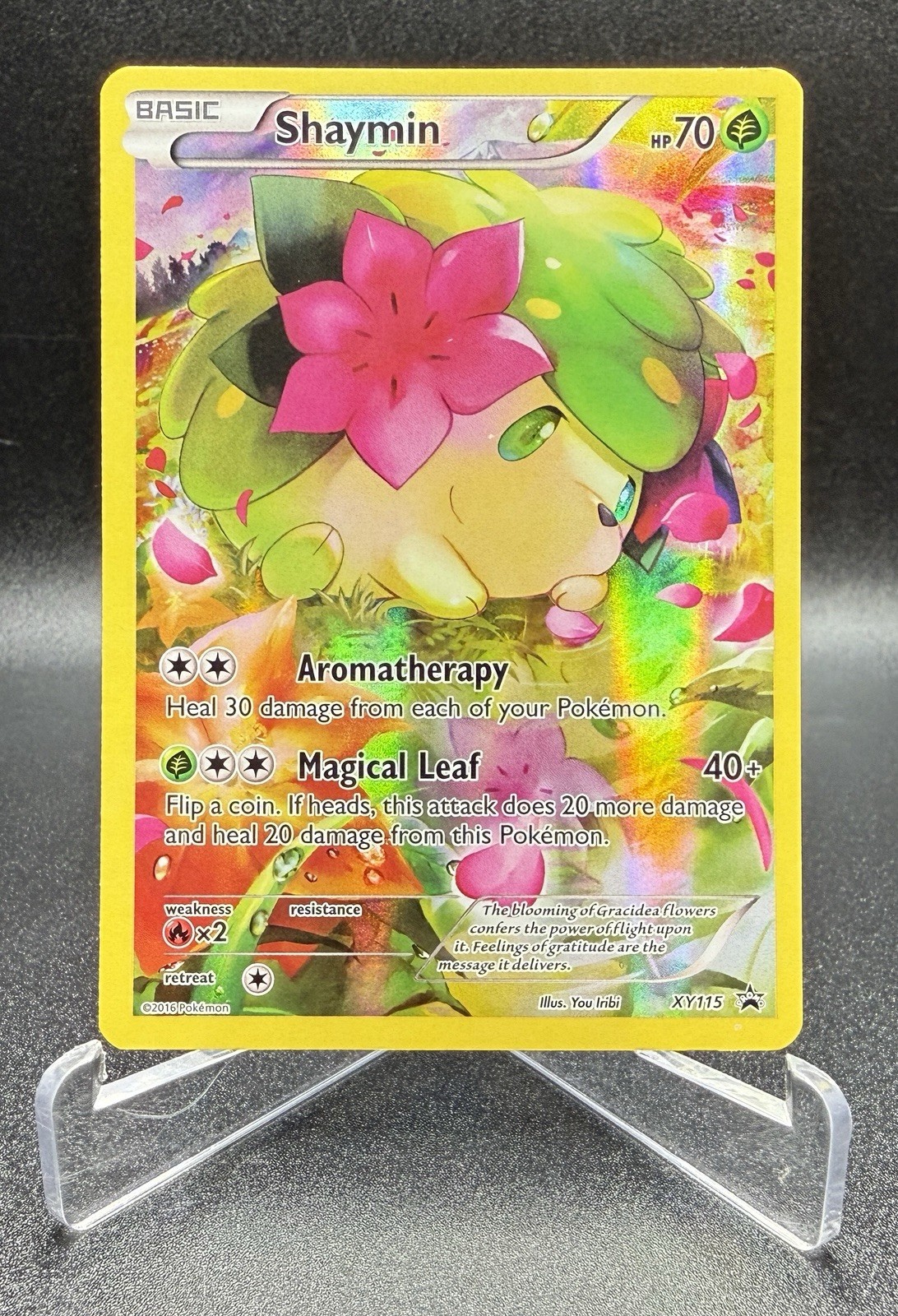 Shaymin XY115  Black Star Promo Pokemon Card