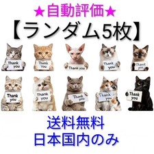 Thank you Sticker cat 2.5cm 5pc Random - Japan Domestic Shipping Only