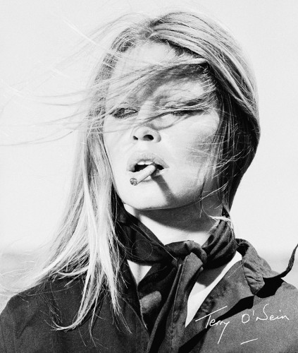 Terry O'Neill by Terry O'Neill, Dylan Jones - 9781788840286