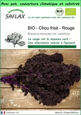 SAFLAX - Garden to go - BIO - Chou frisé - Rouge - 50 Graines