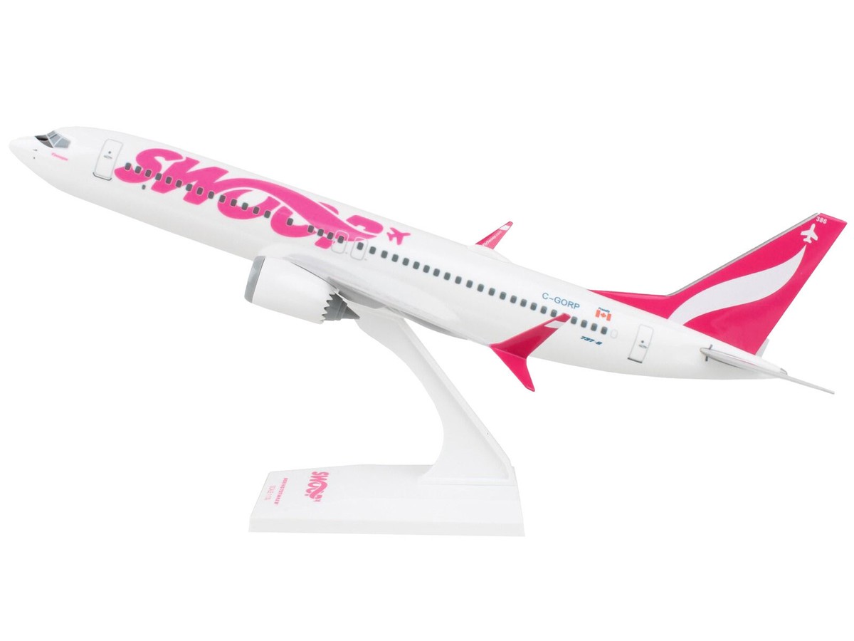 航空機・ヘリコプター SWOOP Boeing 737-800 1:100 Scale s-l1200.jpg