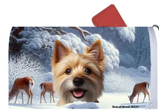 Norwich Terrier Winter Wonderland Mail Box Cover