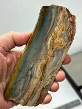 Gary Green Caldera Freedom Jasper Slab Cabbing Lapidary Combo Ship Avail