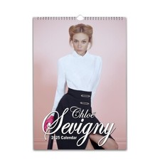 Chlo  Sevigny Personalised  2026/27 Calendar  choose start month