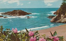 Washington Oregon and California Wild Rhododendron with Rugged Coast Chrome PC