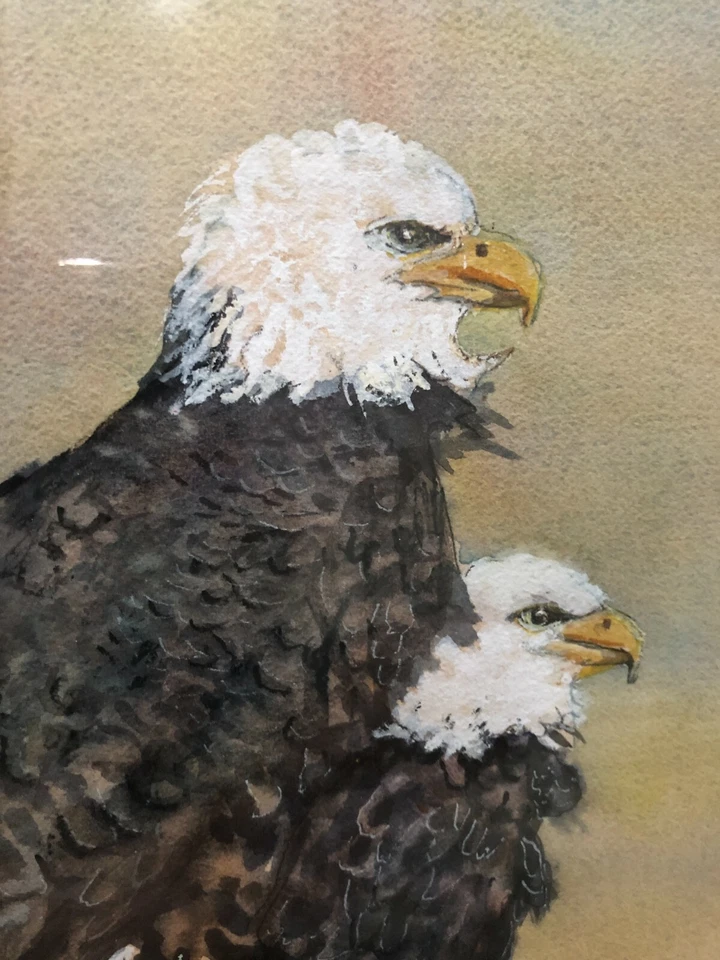 Pintura Acuarela Original Sadie Kanavel Águilas, Firmada, Enmarcada, 13" x 19" Foto 2 de 4