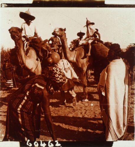 Sahara Meharists Camels Mehari, Photo Stereo Plate Glass Ca 1910 - Picture 1 of 2