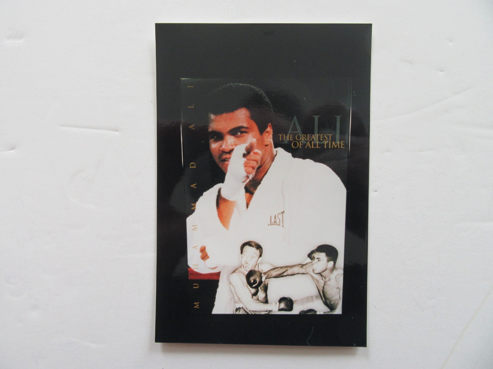Ali Collage Muhammad Ali Collage (12) 4