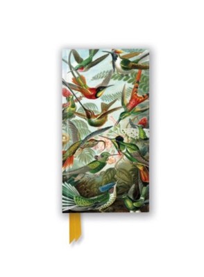 Ernst Haeckel: Hummingbirds (Foiled Slimline Journal) Flame Tree Publishing