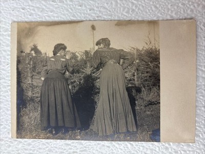 Postcard c1907 RPPC Photo of 2 Girls Looking at Cut Down Trees