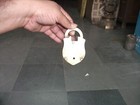 Bild 9 von 9