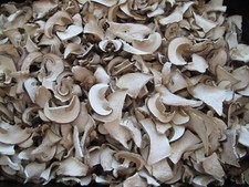 Champignons de cèpes séchés Boletus Wild Foraged Penny Bun Cep 50 - 100 g