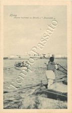 Siria - Homs, bestiame su chiatte