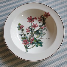 V&B BOTANICA  Salatschale Malva Silvestris Ø 20 cm sehr gut  VILLEROY&BOCH mehr