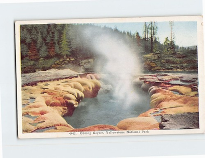 #ad Postcard Oblong Geyser Yellowstone National Park Wyoming USA $4.95