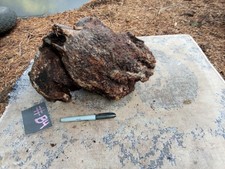  B4 NATURAL RED BURL MANZANITA ROOT WOOD DIY PROJECTS