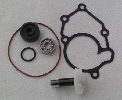 Beta 125RR LC Wasserpumpen-Simmerring Rep-Kit Wassergekühlt Viertackter 2013-20